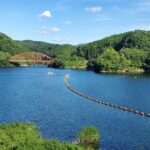 水は命の根源ではないのか?水と生活と健康