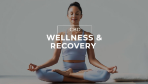 CBDの可能性を探る｜ウエルネスへの活用法