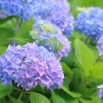 季節の変わり目におすすめのセルフケア「梅雨どきの“なんとなく不調”に、やさしく向き合う時間を」